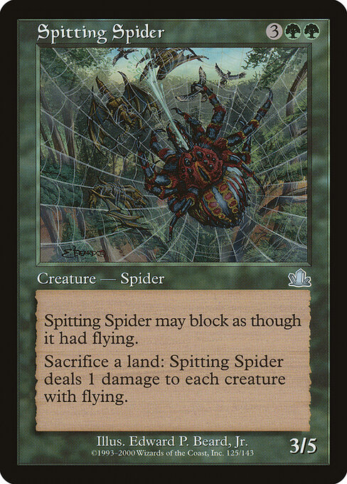 Spitting Spider card art