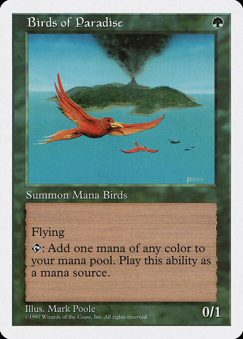 Birds of Paradise card art