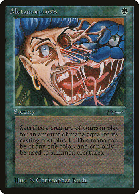 Metamorphosis card art