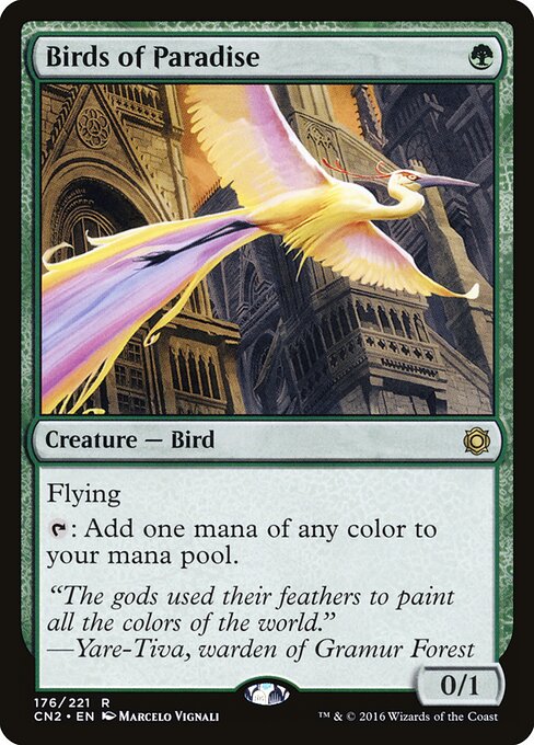 Birds of Paradise card art