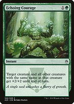 Echoing Courage — Masters 25