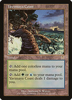 Yavimaya Coast — Apocalypse
