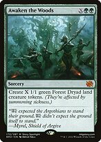 Awaken the Woods — The Brothers' War