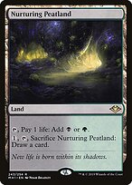 Nurturing Peatland — Modern Horizons
