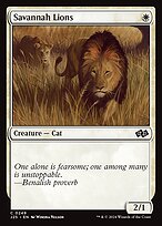 Savannah Lions — Foundations Jumpstart