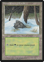 Snow-Covered Forest — Ice Age