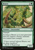 Brawn — Commander Anthology Volume II