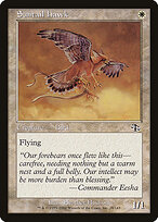 Suntail Hawk — Judgment