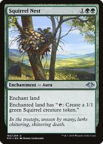Squirrel Nest — Modern Horizons