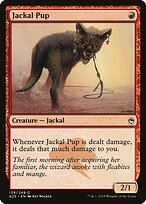 Jackal Pup — Masters 25