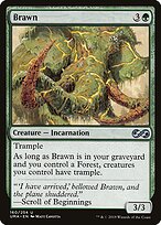 Brawn — Ultimate Masters