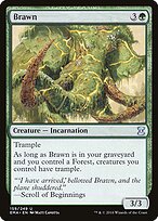 Brawn — Eternal Masters