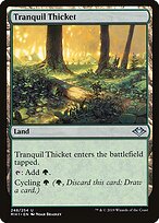 Tranquil Thicket — Modern Horizons