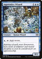Apprentice Wizard — Double Masters