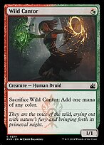 Wild Cantor — Ravnica Remastered