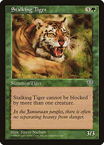 Stalking Tiger — Mirage