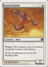 Suntail Hawk — 9th Edition