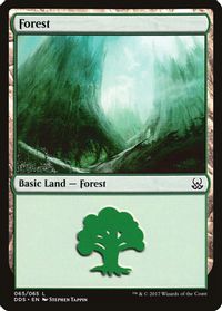 Forest (065) — Duel Decks: Mind vs. Might