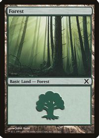 Forest (381) — 10th Edition