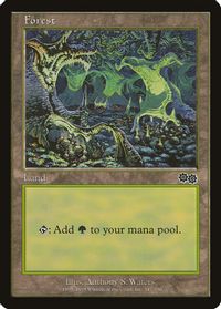 Forest (347) — Urza's Saga