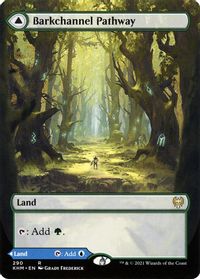 Barkchannel Pathway (Borderless) — Kaldheim