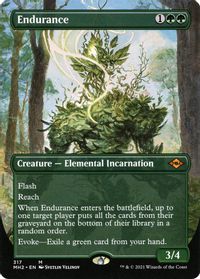 Endurance (Borderless) — Modern Horizons 2