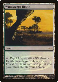Windswept Heath — Judge Promos