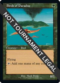 Birds of Paradise (Retro Frame) — 30th Anniversary Edition