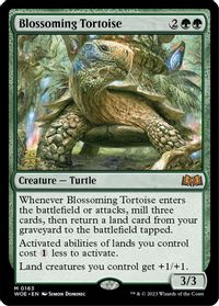 Blossoming Tortoise — Prerelease Cards