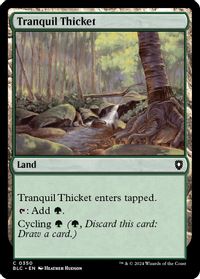Tranquil Thicket — Commander: Bloomburrow