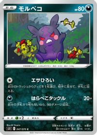 Morpeko — S5I: Single Strike Master
