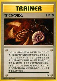 Mysterious Fossil — Mystery of the Fossils