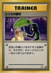 Erika's Kindness — Leaders' Stadium