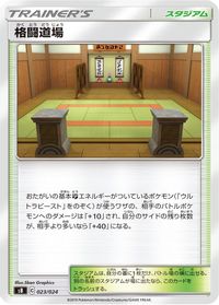 Martial Arts Dojo — sB: Sword & Shield Premium Trainer Box
