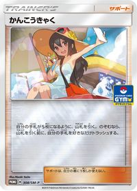 Sightseer - 308/SM-P — SM-P: Sun & Moon Promos
