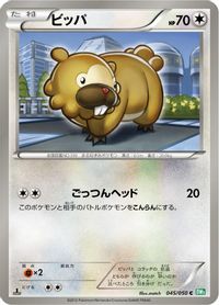 Bidoof — BW5: Dragon Blast