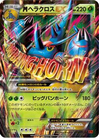 Heracross - 005/096 — XY3: Rising Fist