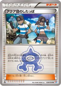 Team Aqua Grunt — CP1: Magma Gang vs Aqua Gang: Double Crisis