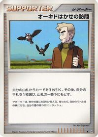 Professor Oak's Visit — DP3: Shining Darkness