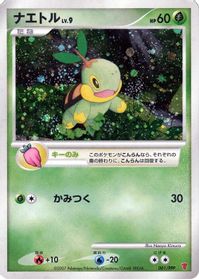 Turtwig — PPP Promotional cards