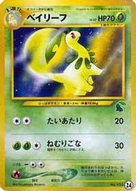 Bayleef — Intro Pack Neo (Chikorita)