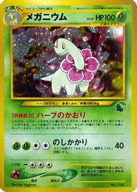 Meganium — Intro Pack Neo (Chikorita)