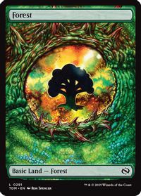 Forest (0291) — Tarkir: Dragonstorm