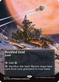 Petrified Field (0167) (Borderless) (Galaxy Foil) — Edge of Eternities: Stellar Sights