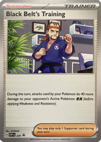 Black Belt's Training - 220 — SV: Scarlet & Violet Promo Cards