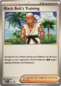 Black Belt's Training - 219 — SV: Scarlet & Violet Promo Cards