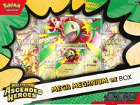Ascended Heroes Mega Meganium ex Box — ME: Ascended Heroes