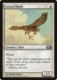 Suntail Hawk — Magic 2014 (M14)