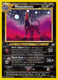 Houndoom — Neo Revelation