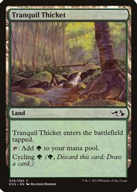 Tranquil Thicket — Duel Decks: Anthology